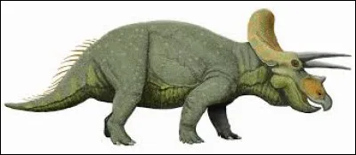 Le terme de Triceratops, qui signifie littéralement « tête à deux cornes ».