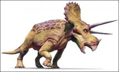 Le tricératops a vécu à la même période que le redoutable tyrannosaure dont il était la proie.