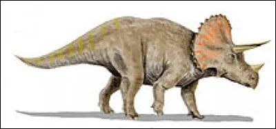 Le Triceratops est le genre le plus connu des cératopsidés.