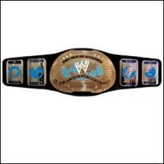Qui est actuellement Intercontinental Champion aprs Summerslam 2009 ?