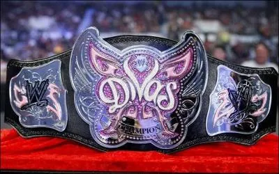 Qui est actuellement Divas Champion aprs Summerslam 2009 ?