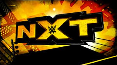 Qui est le champion actuel de la NXT ? (Janvier 2017)