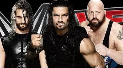Laquelle de ces trois superstars a remporté le plus de titres de la WWE ?