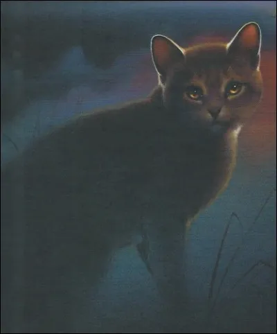 Ta plus grande qualité serait...