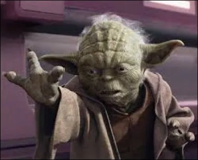 Qui a été le dernier padawan de Maître Yoda ?