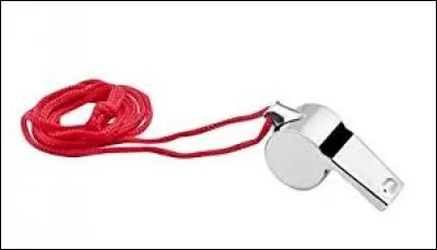 Quand il est maître, il est plus souvent sur le bord avec son sifflet ! 
De qui parle-t-on ?