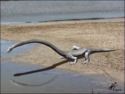 Quel est cet animal pour le moins étrange ?