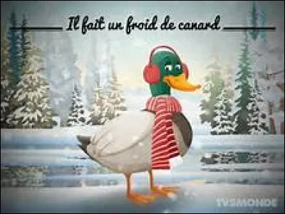 Que signifie l'expression "il fait un froid de canard" ?