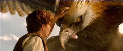 D'où vient Frank, l'oiseau que Norbert veut remettre en liberté ?