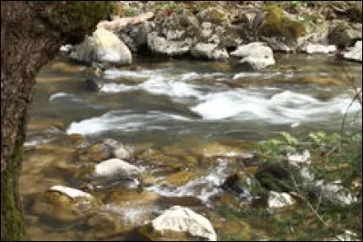 En quoi Thorin et ses compagnons fuient-ils le palais des elfes de Mirkwood ?