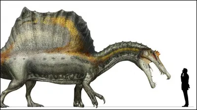 Titanoboa n'est pourtant pas le carnivore terrestre le plus long. Spinosaure, le plus grand des dinosaures carnivores, pouvait mesurer 14 mètres du museau au bout de la queue. 
Il a vécu...