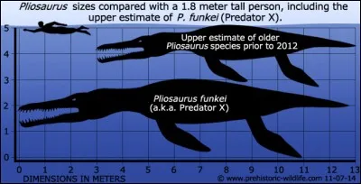 Il n'est pas certain que le Liopleurodon soit le plus grand de la famille ; d'autres espèces comme le Predator X et le Kronosaure postulent aussi pour la 1ère place. 
Lequel est le dernier à avoir vécu ?
