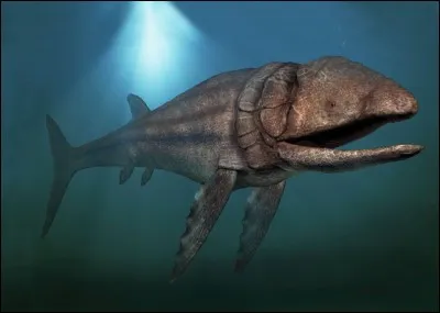 Malgré sa taille, Shastasaure n'était pas plus grand que Leedsichthys (taille 20 mètres), le plus grand poisson de tous les temps.
Ce poisson a vécu...
