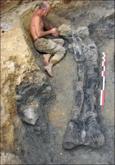 Pour terminer, savez-vous qu'en France aussi on a découvert l'os d'un dinosaure gigantesque ? 
Il s'agit d'un fémur long de 2,20 m, trouvé en 2010 dans...