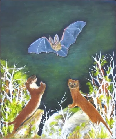 Quel est le titre de cette fable de Jean de La Fontaine ?