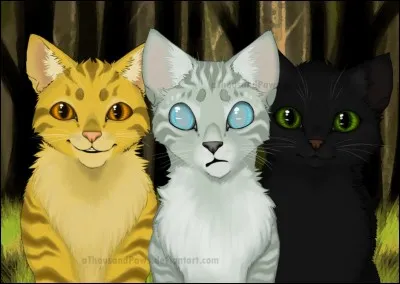 3ème cycle
Qui de ces 3 chatons veut devenir guérisseur ?