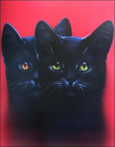 Qui est le deuxième mentor de Nuage de Houx ?