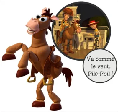 Dans quel film d'animation peut-on voir ce cheval appelé « Pile-Poil » ?