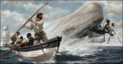 Dans le roman "Moby Dick", écrit par Herman Melville et paru en 1851, quel nom porte le capitaine traquant sans relâche le cachalot blanc géant ?