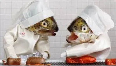 Parmi ces marques, laquelle n'officie pas dans le poisson en conserve ou surgelé ?