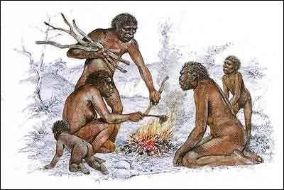 Quelle est la signification de "homo erectus" ?
