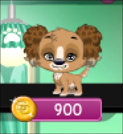 Combien coûte un PetPet ?