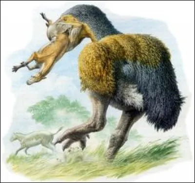 Il y a eu de véritables chasseurs du genre Gastornis. Quel est l'ancien nom ?