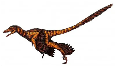 Sinornithosaurus pouvait faire quelque chose que la majorité des dinosaures à plumes ne pouvaient pas faire : ...
