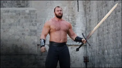 À quelle famille appartient "La Montagne" ?