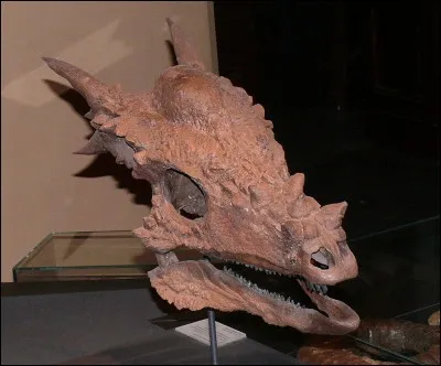 Quel est ce dinosaure découvert à Hell Creek ?