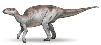 Quel est ce dinosaure ?