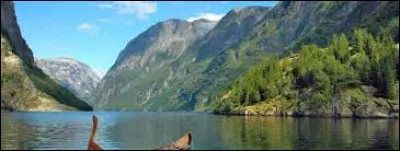 Quelle est la forme politique de cet État ?