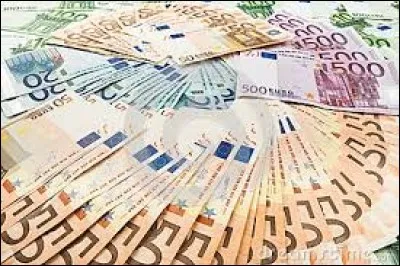 À quelle monnaie l'euro succède-t-il ?