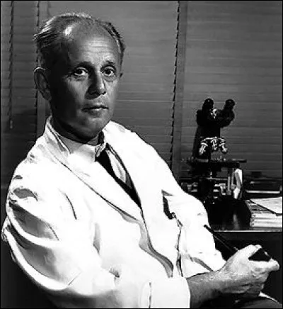 Le médecin Hans Selye décrivit ce concept pour la première fois en 1956.