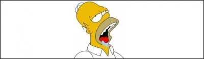 Quand il ne mange pas, il pense à ce qu'il va manger !
Quels sont les deux aliments qui font particulièrement saliver Homer Simpson ?