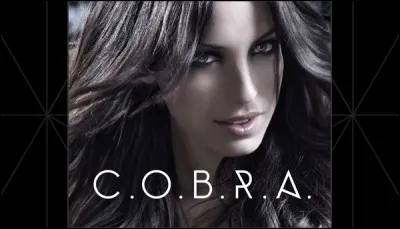 En quelle année a-t-elle sorti la chanson "C.O.B.R.A" ?
