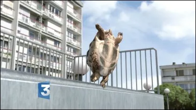 Trouvez le nom de personnages du passé, peu recommandables, qui se retranchaient sur une île !