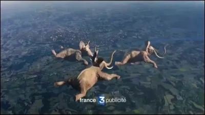 Trouvez la bonne expression, tirée d'un titre de film !