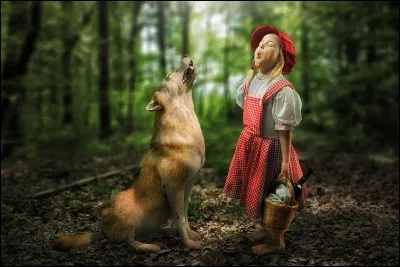 Trouvez la bonne citation !