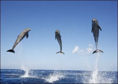 A quel film ou série télévisée pensez-vous ?