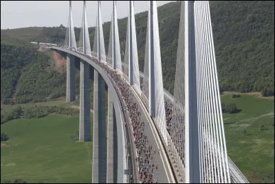 Le viaduc de Millau, long de 2 460 mètres, franchit la vallée du Tarn : quelle est sa fonction ?