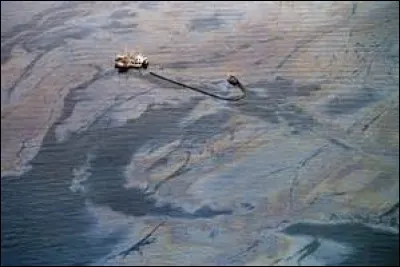 Sur quelles côtes, le pétrolier Exxon Valdez échoue-t-il ?
