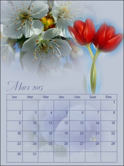 Dans le calendrier grégorien, combien de mois comportent 31 jours ?