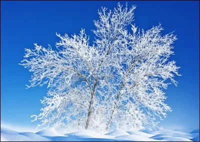 Une dérouillée, une raclée : dé...