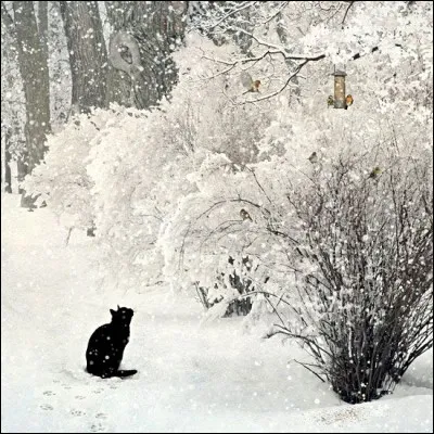 Relatif à l'une des îles des Cyclades, l'île de Délos : dé...