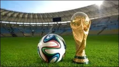 Dans quel pays se déroulait la coupe du monde de la FIFA en 2014 ?