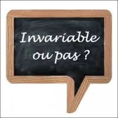 Le mot "invariable" est-il invariable ?