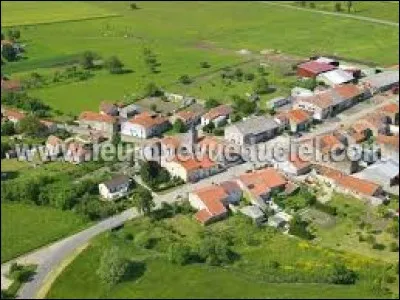 Guéblange-lès-Dieuze est une commune de l'ancienne région Lorraine située dans le département ...
