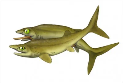 Quel est ce requin disparu ?