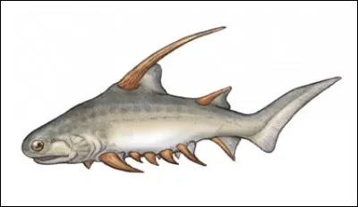 Quel est ce requin disparu ?